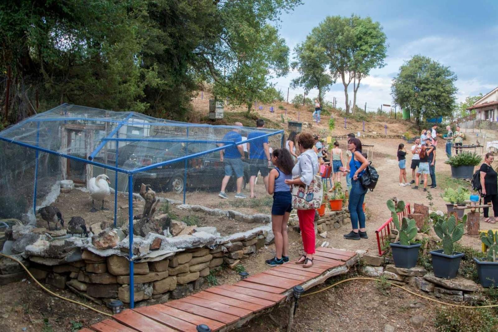 Ξενώνας Museum Ισόγειο Στο Ελληνικό Ιωαννίνων Villa Kalentzi Eksteriør billede